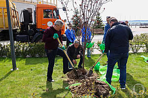 Фото: Дмитрий Рогулин / "Городские вести"