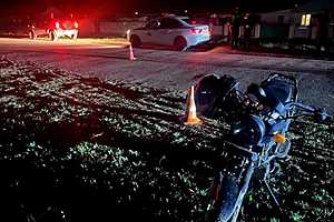 фото: ГУ МВД России по Волгоградской области