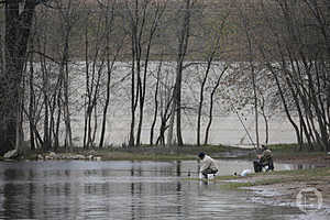 фото: Дмитрий Рогулин / "Городские вести"