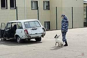 Фото: ГУ МВД России по Волгоградской области