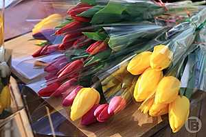 фото: Дмитрий Рогулин / "Городские вести"