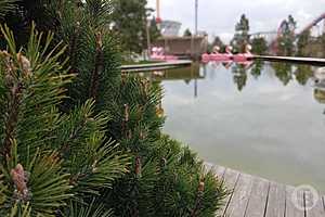 Фото: Евгения Иванова/"Городские вести"