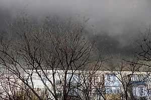 Фото: "Городские вести"