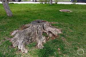 Фото: "Городские вести"