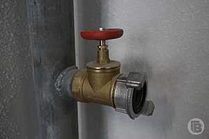 Фото: Дмитрий Рогулин / "Городские вести"