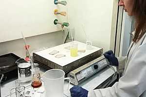 Фото:  Волгоградский филиал ФГБУ «ЦОК АПК»