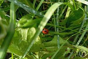 Фото: "Городские вести"