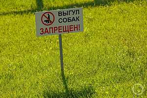 Фото: Дмитрий Рогулин / "Городские вести"