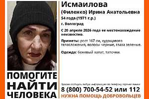 фото: "ЛизаАлерт"