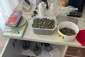 фото: ГУ МВД России по Волгоградской области