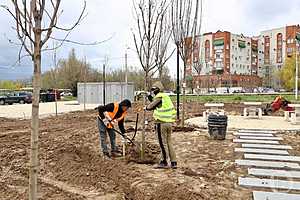 фото: Дмитрий Рогулин/"Городские вести"