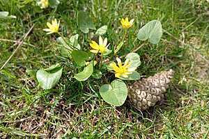 Фото: "Городские вести"