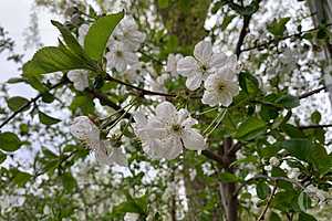 Фото: "Городские вести"