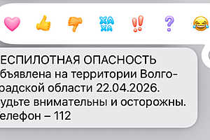 Фото: скриншот сообщения МЧС