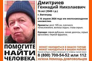 фото: "ЛизаАлерт"