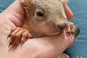 Фото предоставил телеканал "Саратов 24"