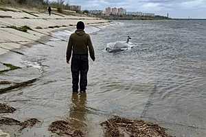 Фото: ГКУ «Служба спасения»
