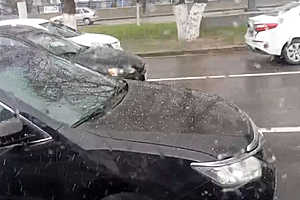 Фото: "Городские вести"