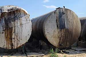 фото: Нижне-Волжское межрегиональное управление Росприроднадзора