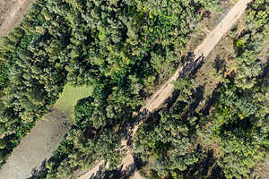 Фото: Дмитрий Рогулин / "Городские вести"
