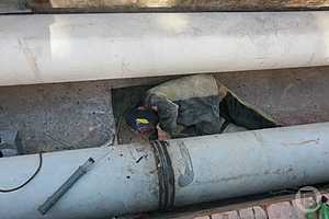 Фото: Дмитрий Рогулин / "Городские вести"