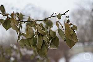 Фото: Дмитрий Рогулин / "Городские вести"