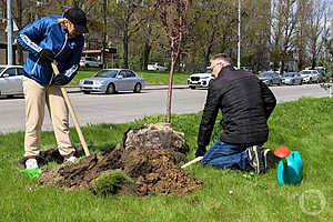 Фото: Дмитрий Рогулин / "Городские вести"