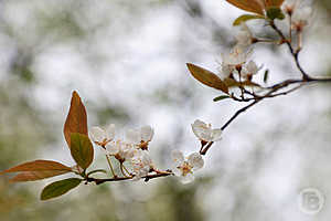 Фото: Дмитрий Рогулин / "Городские вести"