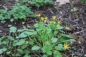 Фото: Дмитрий Рогулин / "Городские вести"