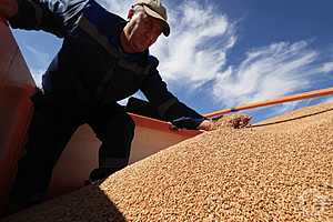 Фото: Дмитрий Рогулин / "Городские вести"