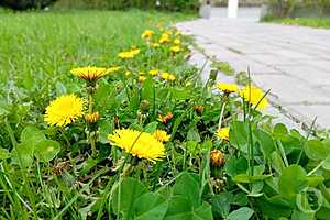 Фото: Евгения Иванова/"Городские вести"