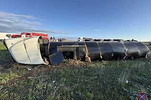 Фото: ГУ МВД России по Волгоградской области