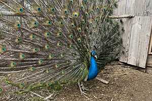 Фото предоставил телеканал "Саратов 24"