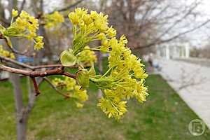 Фото: "Городские вести"