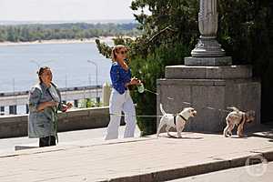 Фото: Дмитрий Рогулин / "Городские вести"