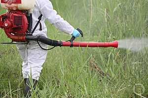 Фото: Дмитрий Рогулин / "Городские вести"