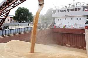 фото: Россельхознадзор