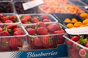 фото: Дмитрий Рогулин / "Городские вести"