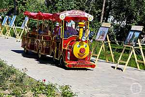 Фото: Дмитрий Рогулин / "Городские вести"