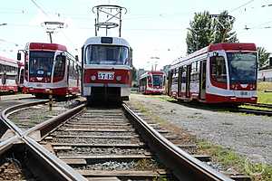 Фото: Дмитрий Рогулин / "Городские вести"