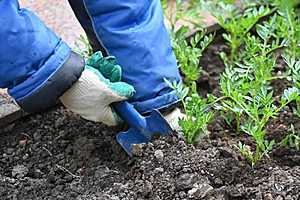 Фото: "Городские вести"