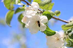 Фото: Дмитрий Рогулин / "Городские вести"