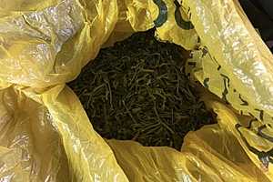 фото: ГУ МВД России по Волгоградской области