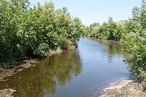 Фото: "Городские вести"