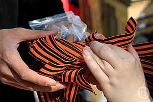 Фото: Дмитрий Рогулин / "Городские вести"