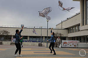 Фото: Дмитрий Рогулин / "Городские вести"