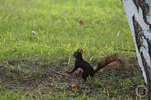 Фото: Дмитрий Рогулин / "Городские вести"