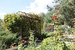 Фото: Дмитрий Рогулин/"Городские вести"