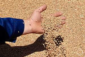 фото: Дмитрий Рогулин / "Городские вести"