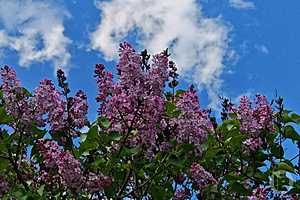 Фото: "Городские вести"